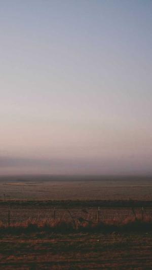 seo优化工具有哪些截图2