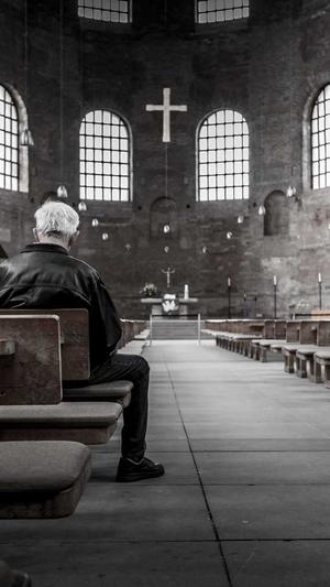 seo排名工具佳选截图2