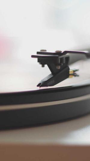 阿里蜘蛛池官方截图1