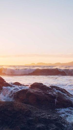 泉州seo优化截图2