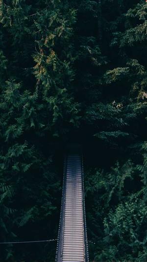 昆山seo优化截图2