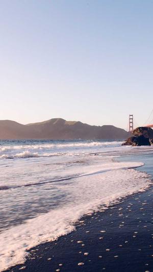 seo排名工具截图2