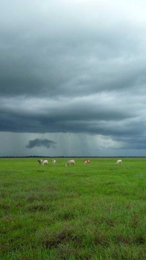 成都市网站建设截图1