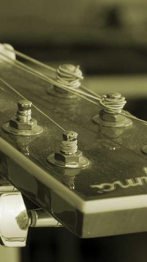 龙岗网站建设截图1