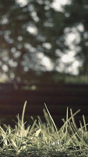 安宁网站建设截图3