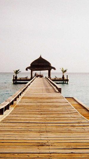 seo产品优化截图1