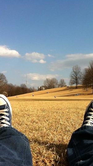 新款蜘蛛池模板截图2