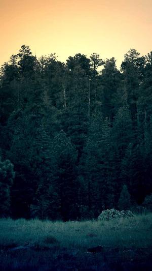 企业展示型网站建设截图1