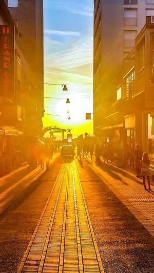 主播炸蜘蛛池是真的吗截图3