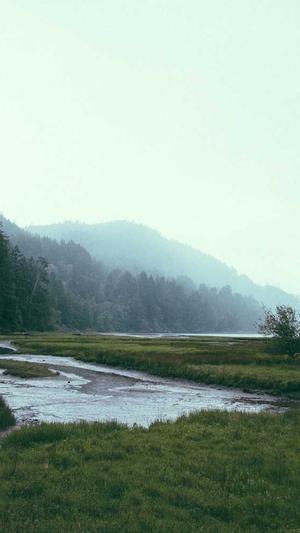 展示型网站建设截图1