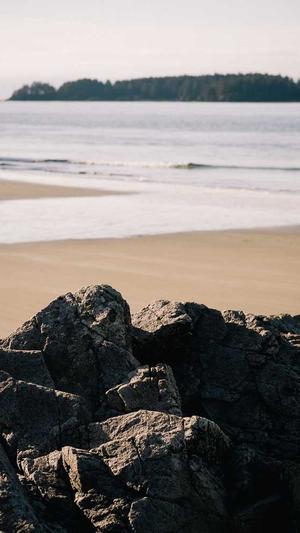 哈尔滨网站建设多少钱截图4