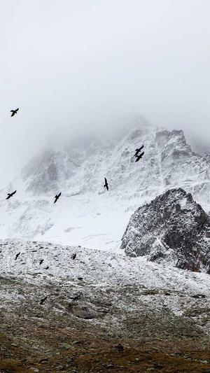 自动seo工具截图2