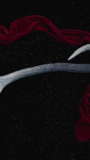 seo怎么优化截图1