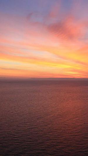 seo学习工具截图2