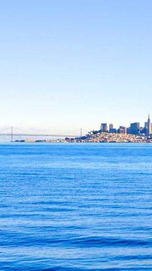 泛目录怎么快速收录截图2