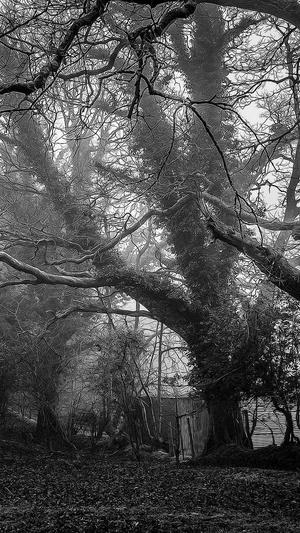 网站seo建设截图3