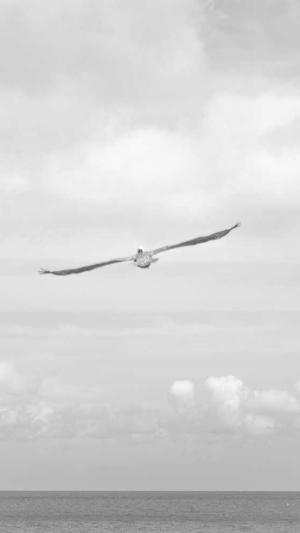 seo工具最好的是什么截图5