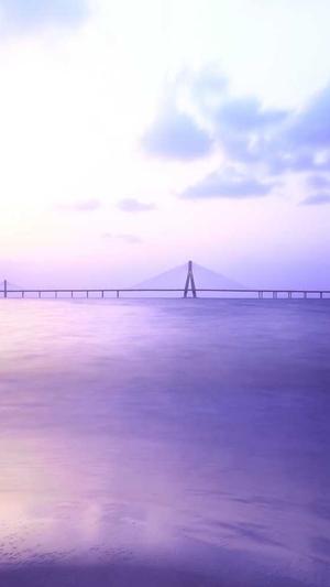 蜘蛛池推广灰色广告截图4