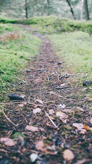 网站seo外链工具截图3