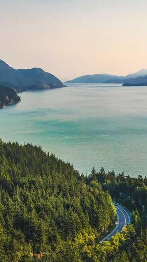 泛目录推送截图3