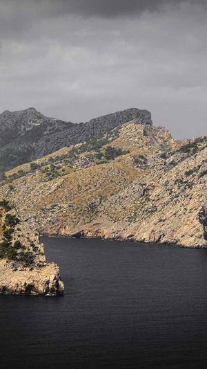 seo关键词优化软件截图1