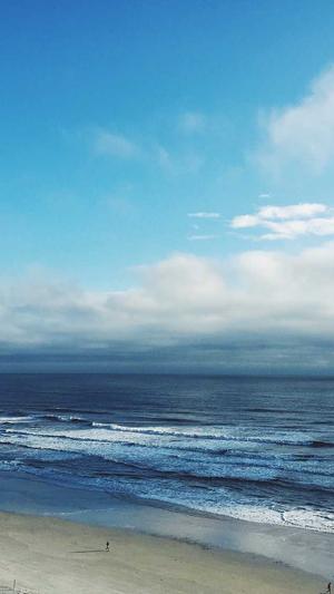 seo新手工具截图2