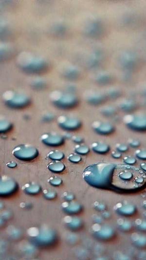 seo优化工具排行截图5