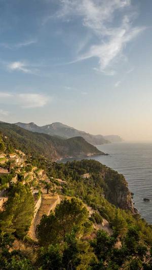 天道蜘蛛池截图2