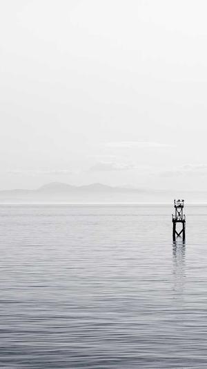 seo站群如何操作蜘蛛池截图2