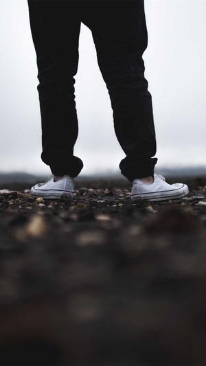 seo关键词工具优帮云截图2