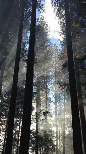 蜘蛛池的关键词截图1