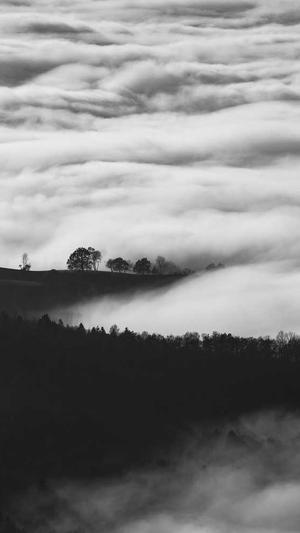 江苏360蜘蛛池出租截图4