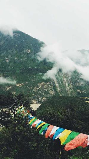 国外网站建设网站截图4