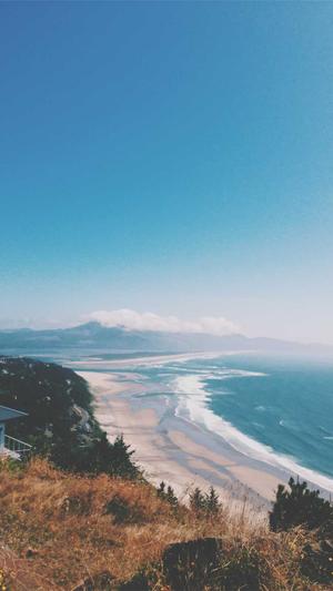 牛牛蜘蛛池下载截图4